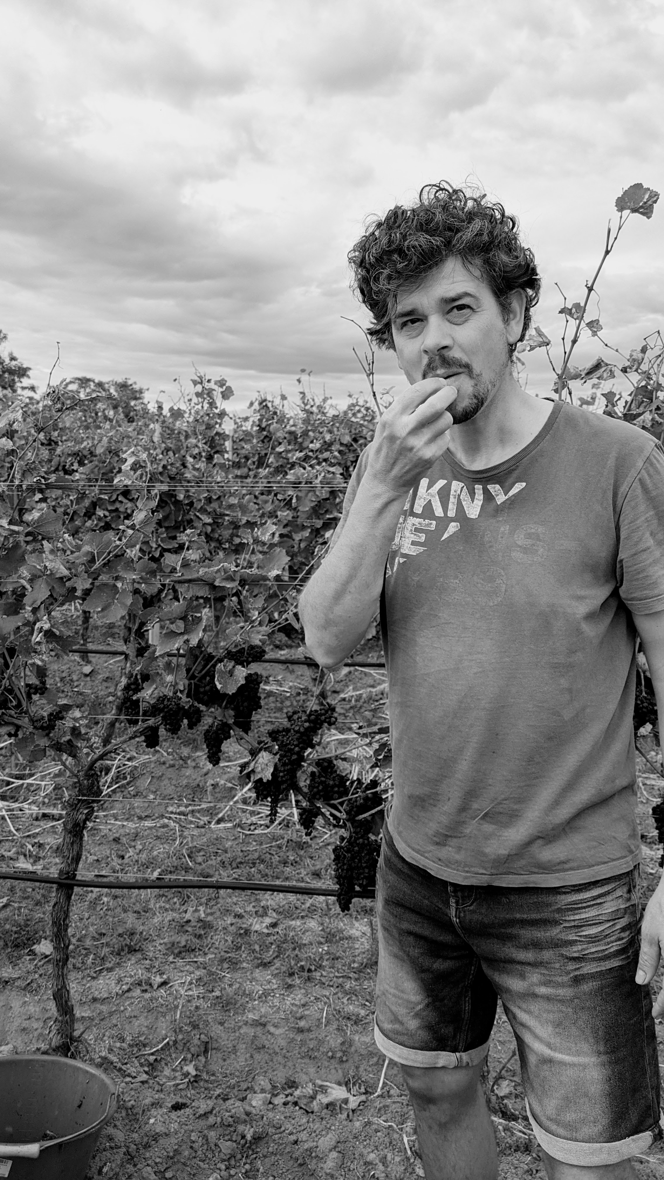 Weingut am Kaiserbaum